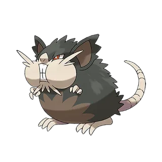 Alolan Raticate