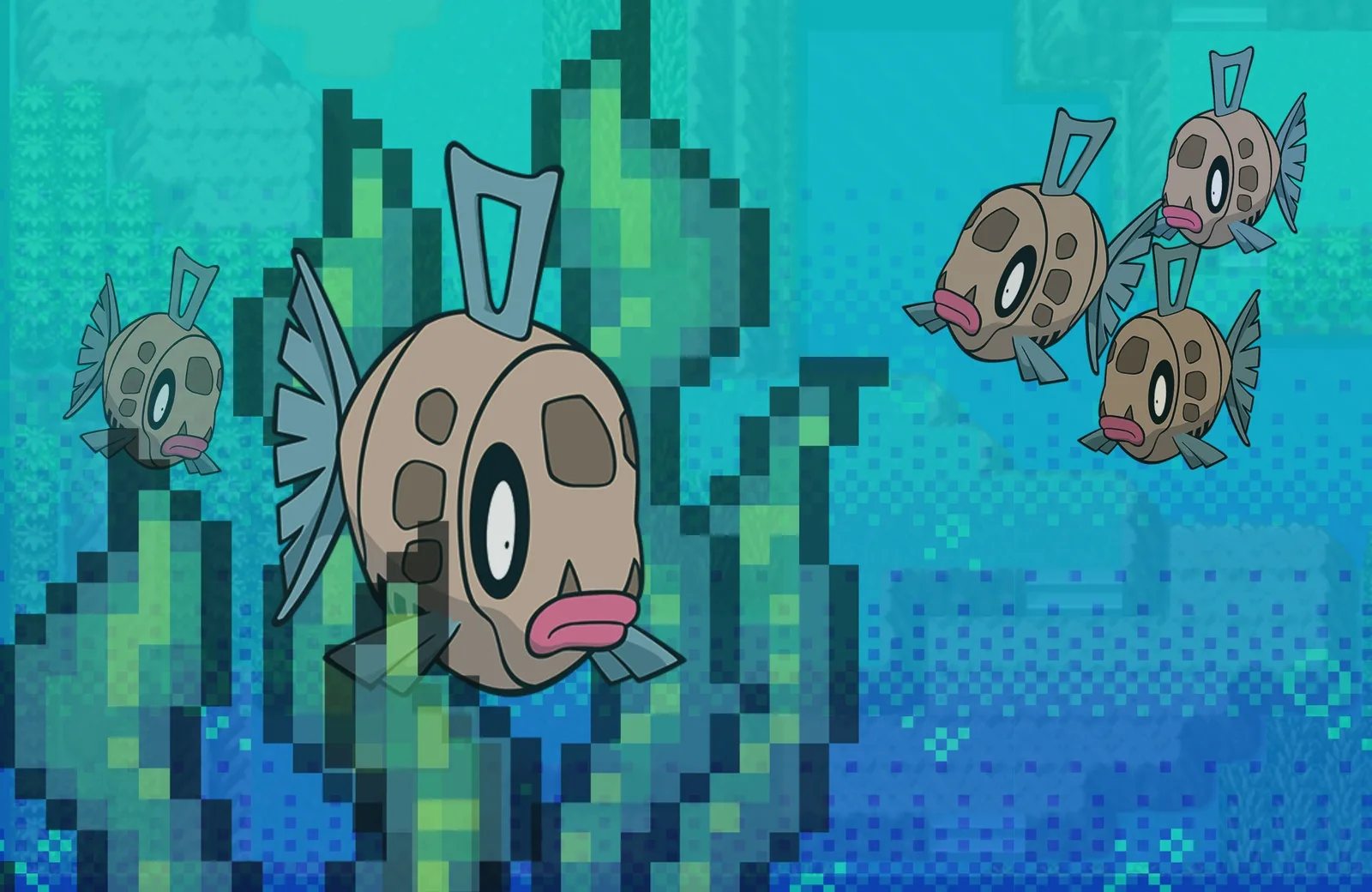 Five Feebas at the bottom of route 119. Probably under the bridge.