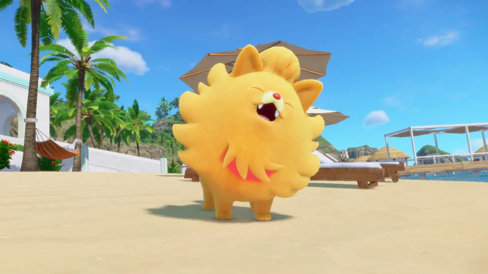 Pombon on the beach